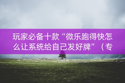 玩家必备十款“微乐跑得快怎么让系统给自己发好牌”（专用神器下载)