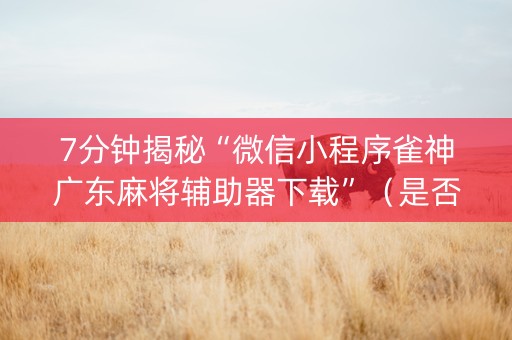 7分钟揭秘“微信小程序雀神广东麻将辅助器下载”（是否能开挂)