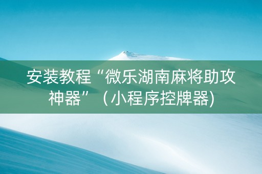 安装教程“微乐湖南麻将助攻神器”（小程序控牌器)