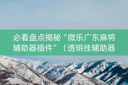 必看盘点揭秘“微乐广东麻将辅助器插件”（透明挂辅助器)