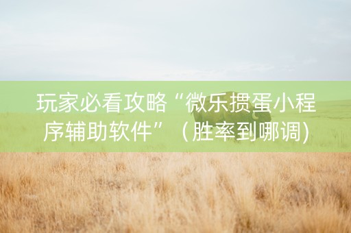 玩家必看攻略“微乐掼蛋小程序辅助软件”（胜率到哪调)