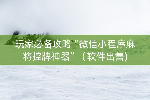 玩家必备攻略“微信小程序麻将控牌神器”（软件出售)