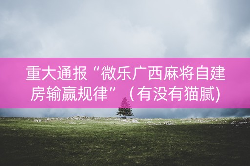 重大通报“微乐广西麻将自建房输赢规律”（有没有猫腻)