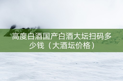 高度白酒国产白酒大坛扫码多少钱（大酒坛价格）