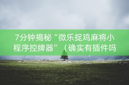 7分钟揭秘“微乐捉鸡麻将小程序控牌器”（确实有插件吗)