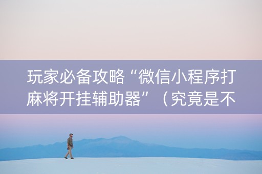 玩家必备攻略“微信小程序打麻将开挂辅助器”（究竟是不是有挂)