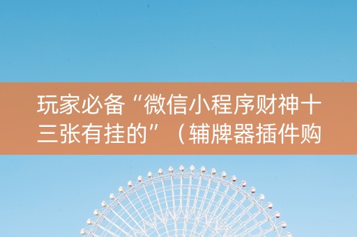 玩家必备“微信小程序财神十三张有挂的”（辅牌器插件购买)