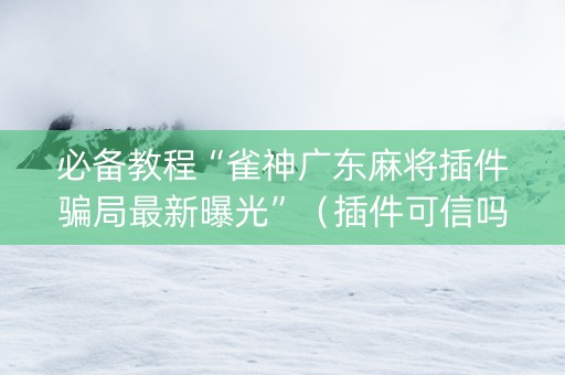 必备教程“雀神广东麻将插件骗局最新曝光”（插件可信吗)