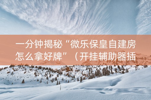 一分钟揭秘“微乐保皇自建房怎么拿好牌”（开挂辅助器插件)