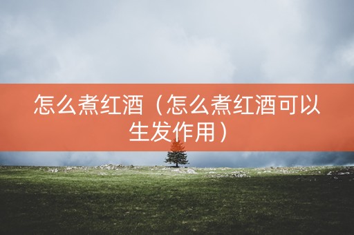 怎么煮红酒（怎么煮红酒可以生发作用）