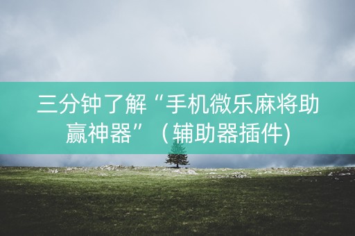 三分钟了解“手机微乐麻将助赢神器”（辅助器插件)