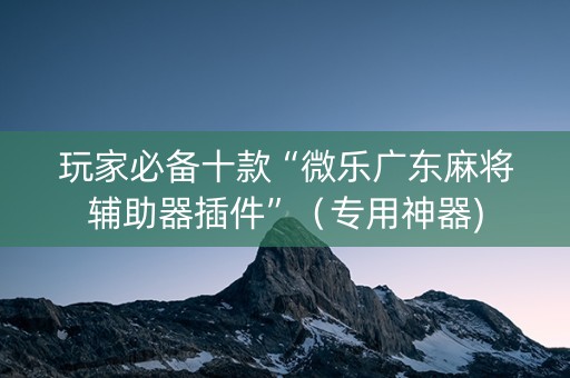 玩家必备十款“微乐广东麻将辅助器插件”（专用神器)