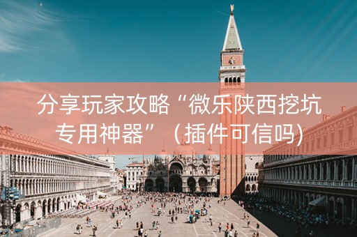分享玩家攻略“微乐陕西挖坑专用神器”（插件可信吗)