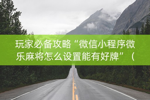 玩家必备攻略“微信小程序微乐麻将怎么设置能有好牌”（辅牌器插件购买)