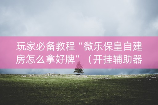 玩家必备教程“微乐保皇自建房怎么拿好牌”（开挂辅助器插件)