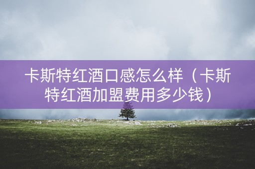卡斯特红酒口感怎么样（卡斯特红酒加盟费用多少钱）