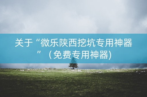 关于“微乐陕西挖坑专用神器”（免费专用神器)