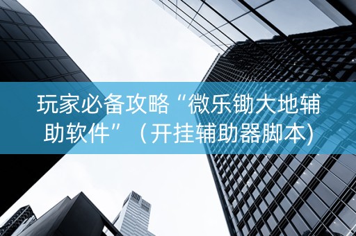 玩家必备攻略“微乐锄大地辅助软件”（开挂辅助器脚本)