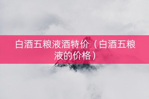 白酒五粮液酒特价（白酒五粮液的价格）