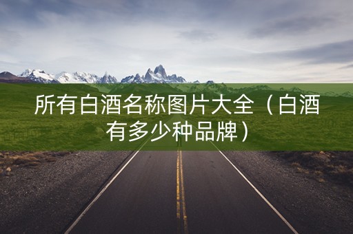 所有白酒名称图片大全（白酒有多少种品牌）