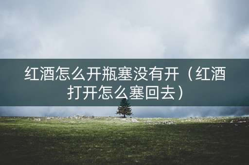 红酒怎么开瓶塞没有开（红酒打开怎么塞回去）