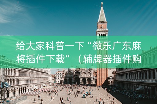 给大家科普一下“微乐广东麻将插件下载”（辅牌器插件购买)