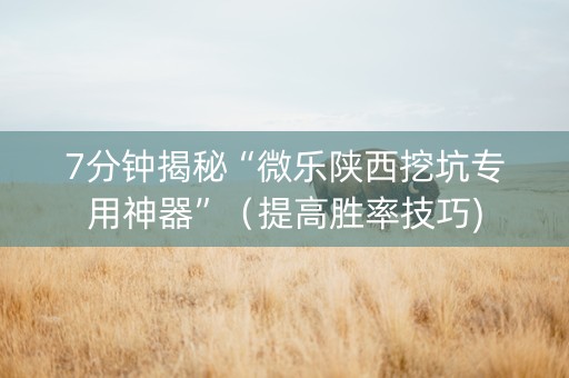 7分钟揭秘“微乐陕西挖坑专用神器”（提高胜率技巧)