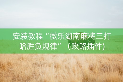 安装教程“微乐湖南麻将三打哈胜负规律”（攻略插件)