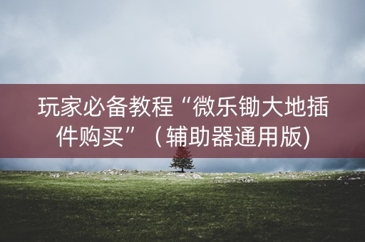 玩家必备教程“微乐锄大地插件购买”（辅助器通用版)