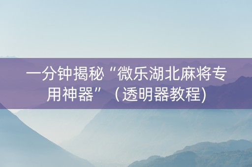 一分钟揭秘“微乐湖北麻将专用神器”（透明器教程)
