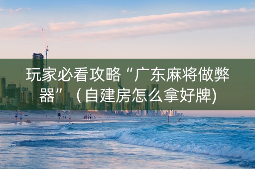 玩家必看攻略“广东麻将做弊器”（自建房怎么拿好牌)