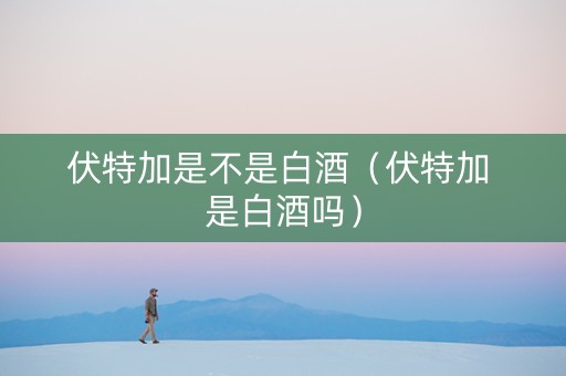 伏特加是不是白酒（伏特加 是白酒吗）