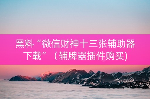 黑料“微信财神十三张辅助器下载”（辅牌器插件购买)