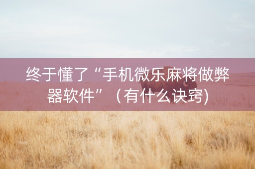 终于懂了“手机微乐麻将做弊器软件”（有什么诀窍)