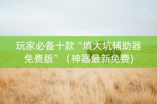 玩家必备十款“填大坑辅助器免费版”（神器最新免费)