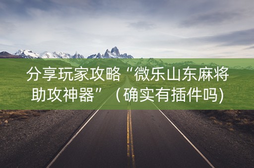 分享玩家攻略“微乐山东麻将助攻神器”（确实有插件吗)