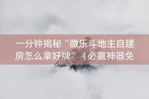 一分钟揭秘“微乐斗地主自建房怎么拿好牌”（必赢神器免费安装)