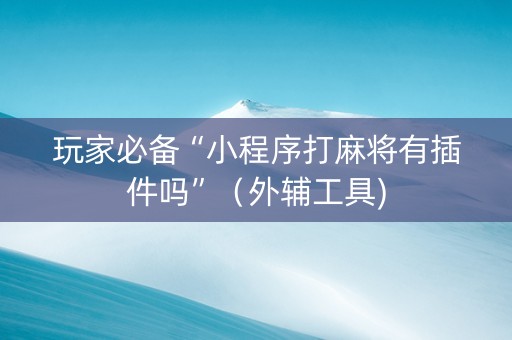 玩家必备“小程序打麻将有插件吗”（外辅工具)