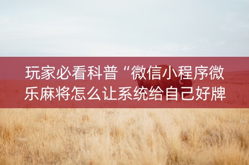 玩家必看科普“微信小程序微乐麻将怎么让系统给自己好牌”（专用神器下载)