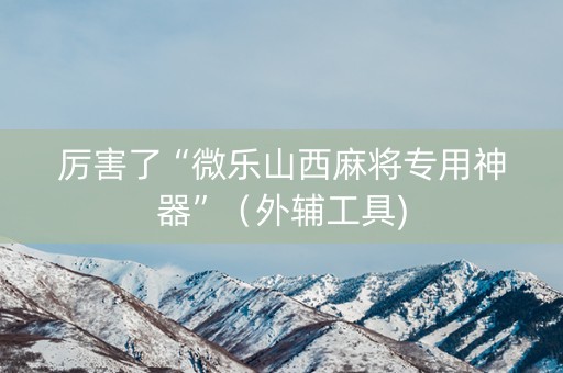 厉害了“微乐山西麻将专用神器”（外辅工具)