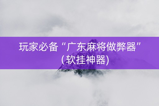 玩家必备“广东麻将做弊器”（软挂神器)