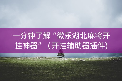 一分钟了解“微乐湖北麻将开挂神器”（开挂辅助器插件)