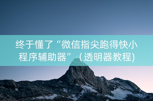 终于懂了“微信指尖跑得快小程序辅助器”（透明器教程)