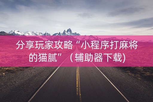 分享玩家攻略“小程序打麻将的猫腻”（辅助器下载)