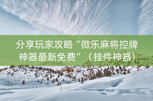 分享玩家攻略“微乐麻将控牌神器最新免费”（挂件神器)