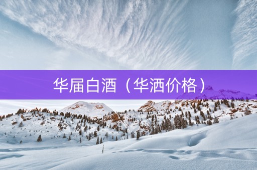 华届白酒（华洒价格）
