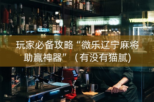 玩家必备攻略“微乐辽宁麻将助赢神器”（有没有猫腻)