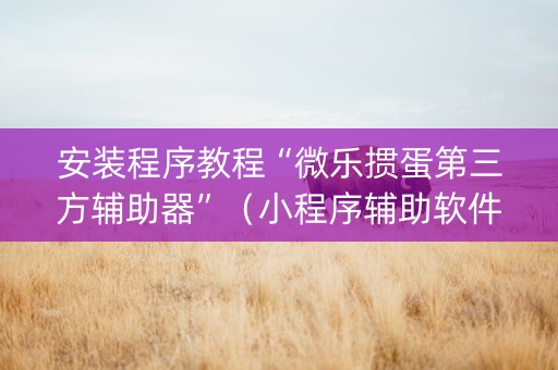 安装程序教程“微乐掼蛋第三方辅助器”（小程序辅助软件)