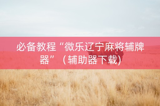必备教程“微乐辽宁麻将辅牌器”（辅助器下载)