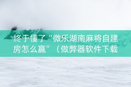 终于懂了“微乐湖南麻将自建房怎么赢”（做弊器软件下载)